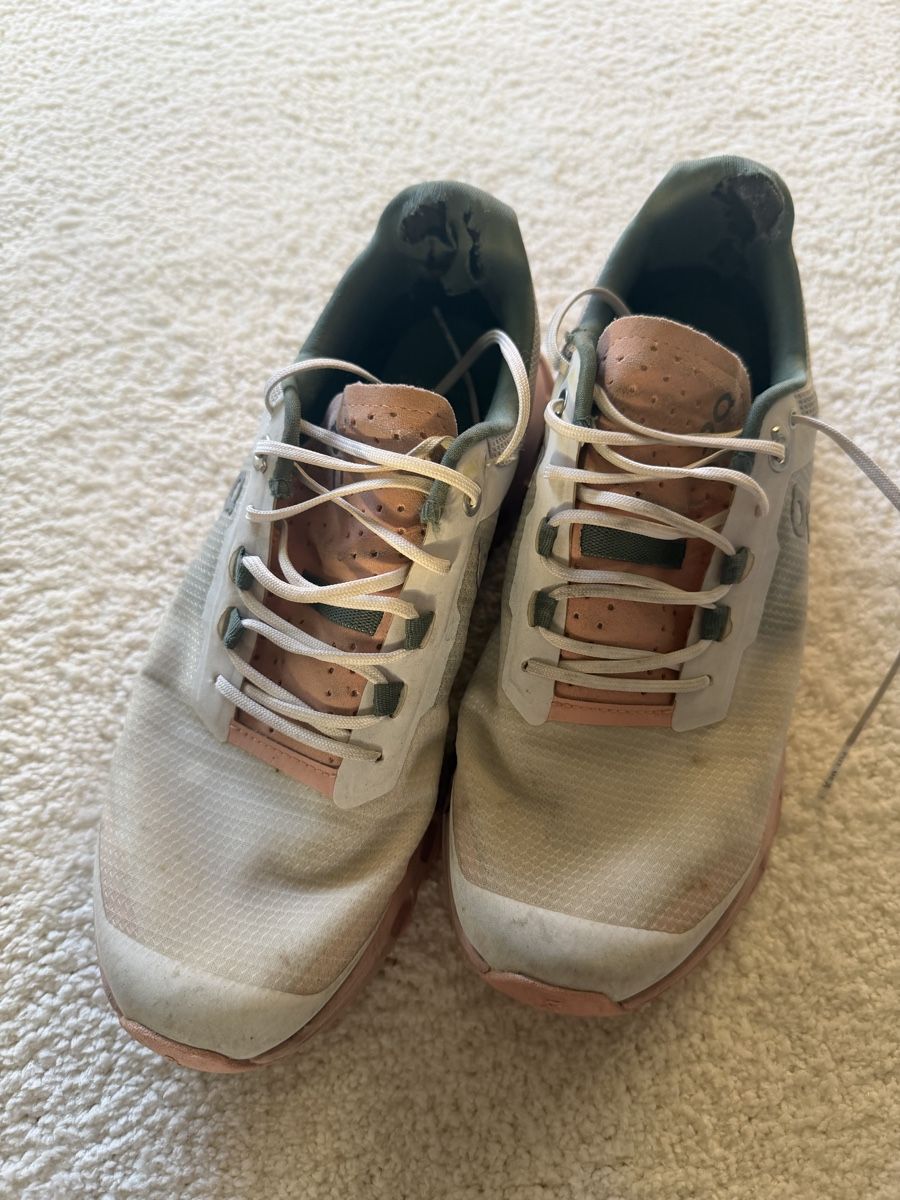 On Chaussures hommes: Scarpe On Cloud Taglia EU 38 usate – D'occasion à Lugano par can_xdd8