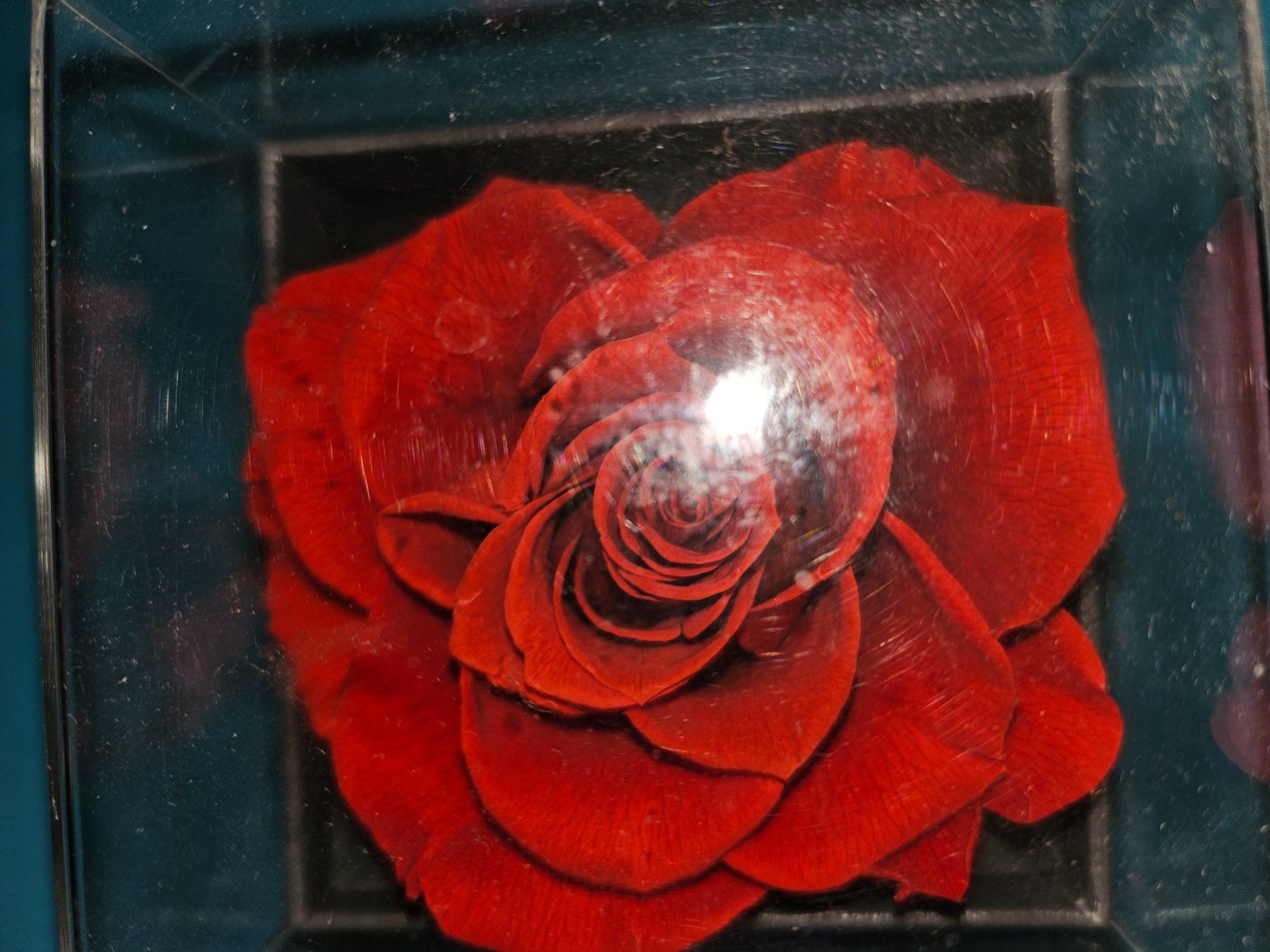 Portagioie: Kleines Schmuckkästchen mit Rose – Usato da Thun venduto da Shame 1