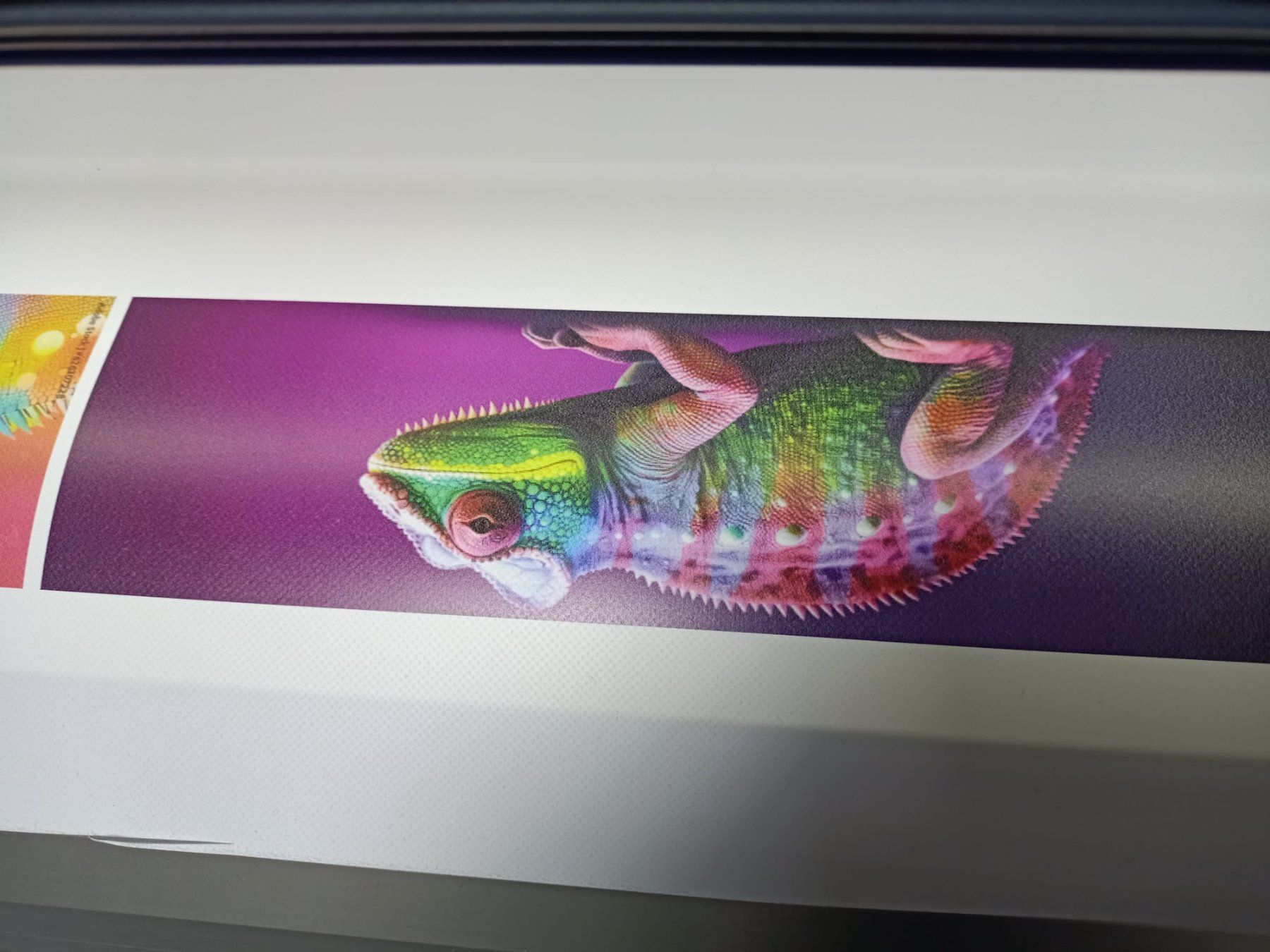 Roland Drucker: Plotter Roland VS-640 - Profi Print & Cut Top Zustand – Gebraucht aus Chur von slim777 2