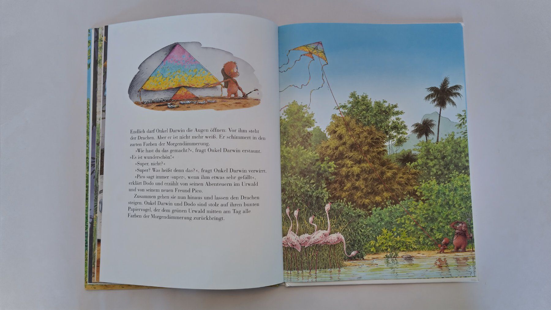 Libri: Kleiner Dodo lass den Drachen fliegen / Bilderbuch Affe – Usato da Bellach venduto da JingleJerry 6