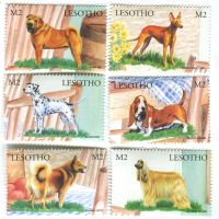 Briefmarken "Hunde". Lesotho