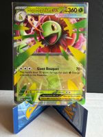 Pokemon Mega Meganium ex 034 (MEP) 🇬🇧