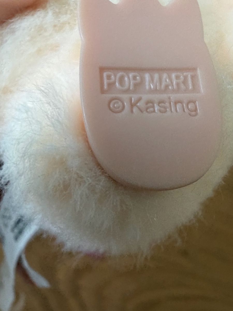 Pop Mart Jouets: POP MART Kasing Plüschfigur mit Anhänger 12cm – Neuf (Voir description) à Gossau ZH par ann_2qmy 3