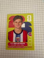 Panini Sticker WM 2026, NOR 7 David Moller Wolfe