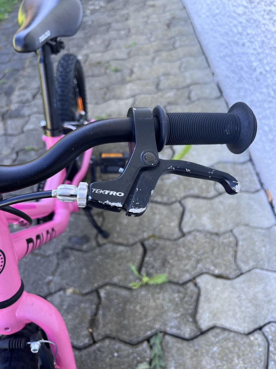 Velos: Naloo 16“ Chameleon – Gebraucht aus Dürrenäsch von winu85 4