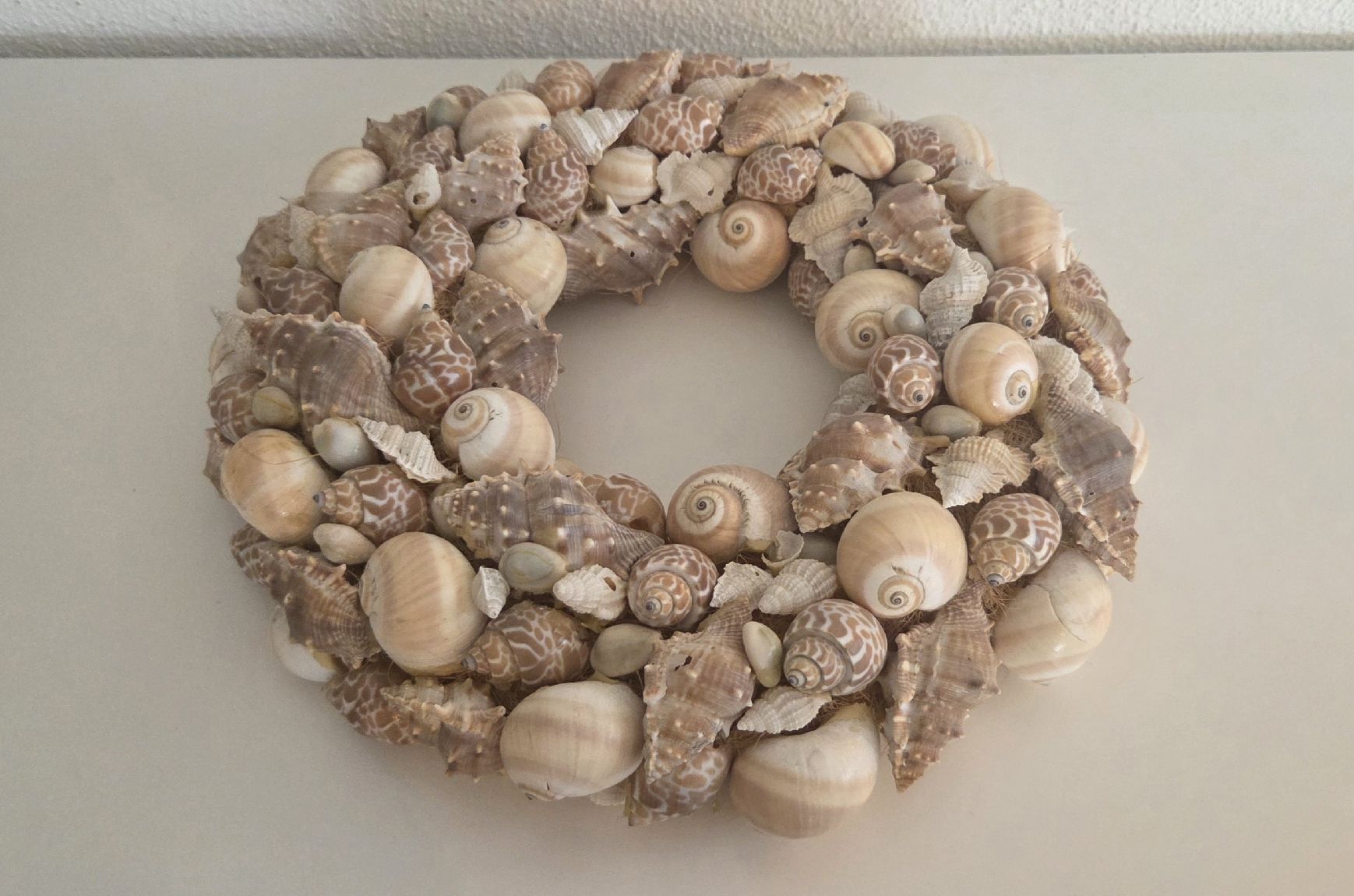 Alle Dekorationen: Muscheln-Dekokranz – Gebraucht aus Luzern von Aloha_man 2