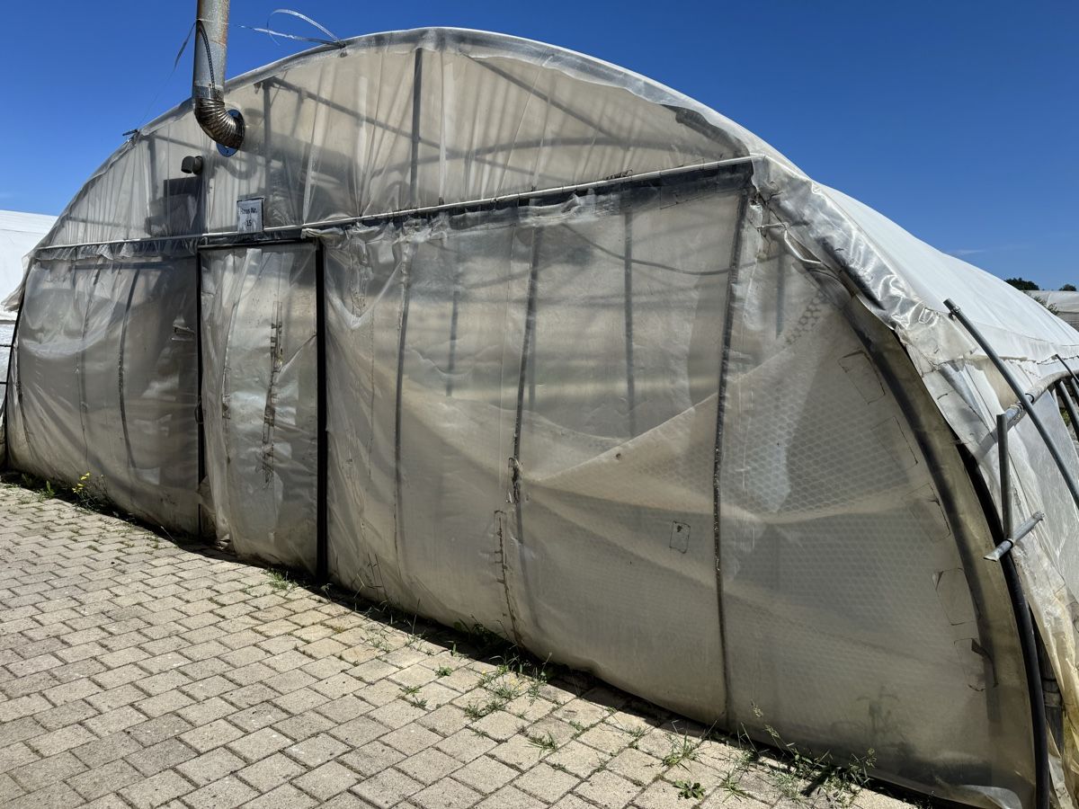 Casette da giardino & serre: Foliengewächshaus – Usato da Düdingen venduto da Gturbo 1