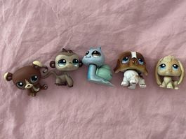 x5 Littlest Pet Shop old figures