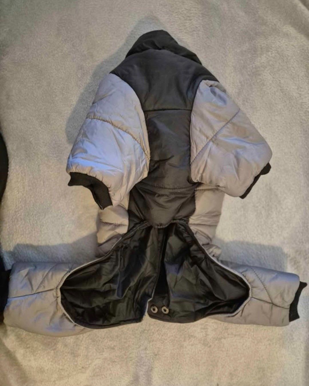 Abbigliamento: Winterjacke für Hunde – Nuovo (secondo la descrizione) da Luzern venduto da kat_6kt5 1