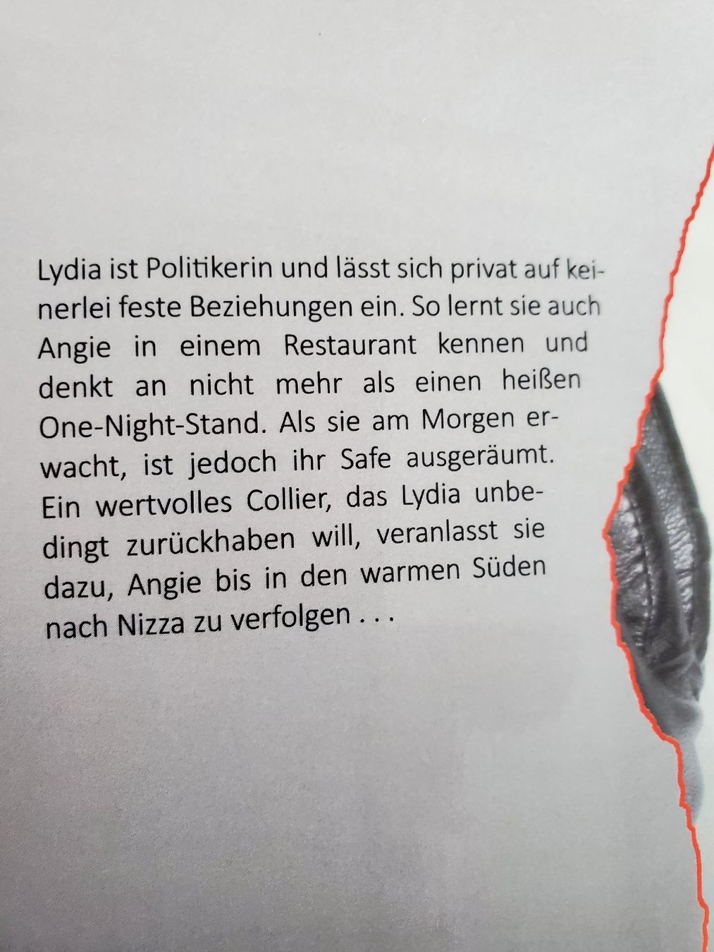 Bücher: Stiehl mein Herz – Neu (gemäss Beschreibung) aus Wetzikon ZH von Wetzicardo25 1