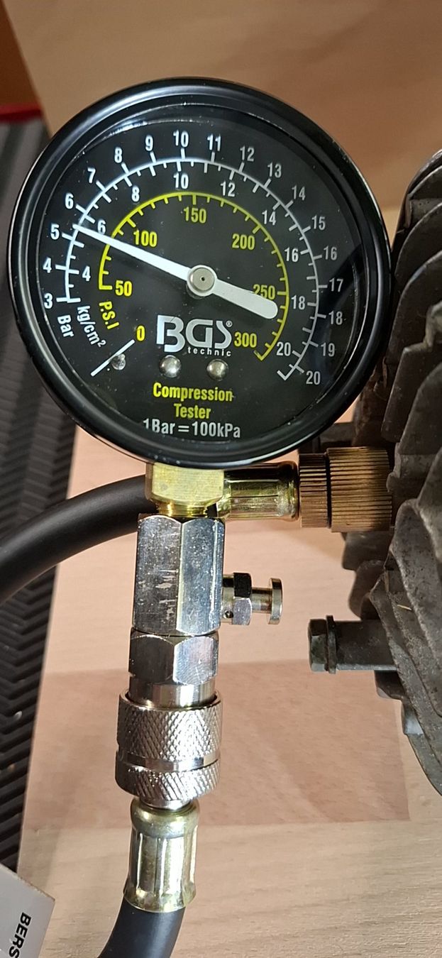 Kreidler Motori: KREIDLER MF 21 Flory-Motor – Usato da Unterentfelden venduto da handelskontor01