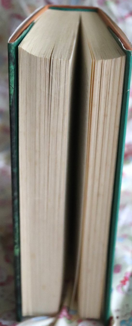 Livres: Dämonenlicht von Marion Zimmer-Bradley – D'occasion à Glattfelden par Vrenely 3