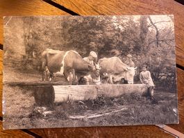 Carte postale ancienne – Au Chalet des Enfants, Lausanne