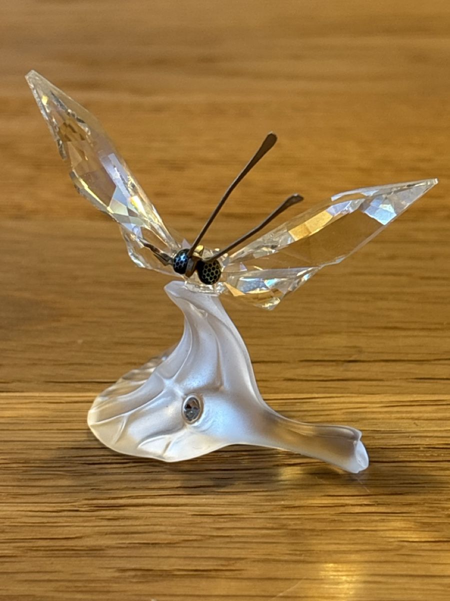 Swarovski Tutte le decorazioni: Swarovski Dragonfly Austria – Usato da La Plaine venduto da Spooty67