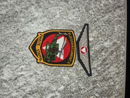 2 Badge Fliegerregiment 3