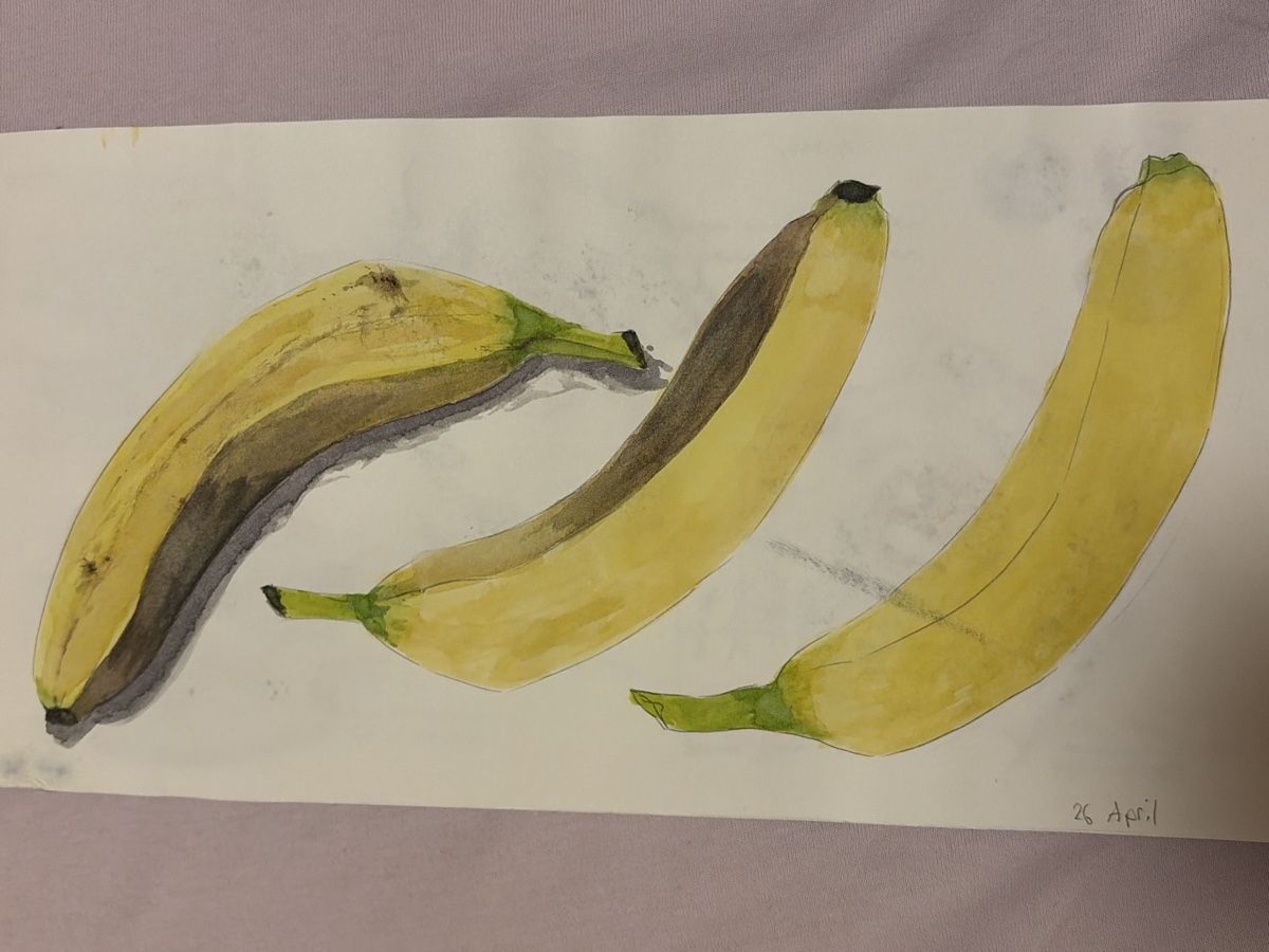 Gemälde: Aquarell - Lebensmittelstudien – Neu (gemäss Beschreibung) aus Chur von notia13 3