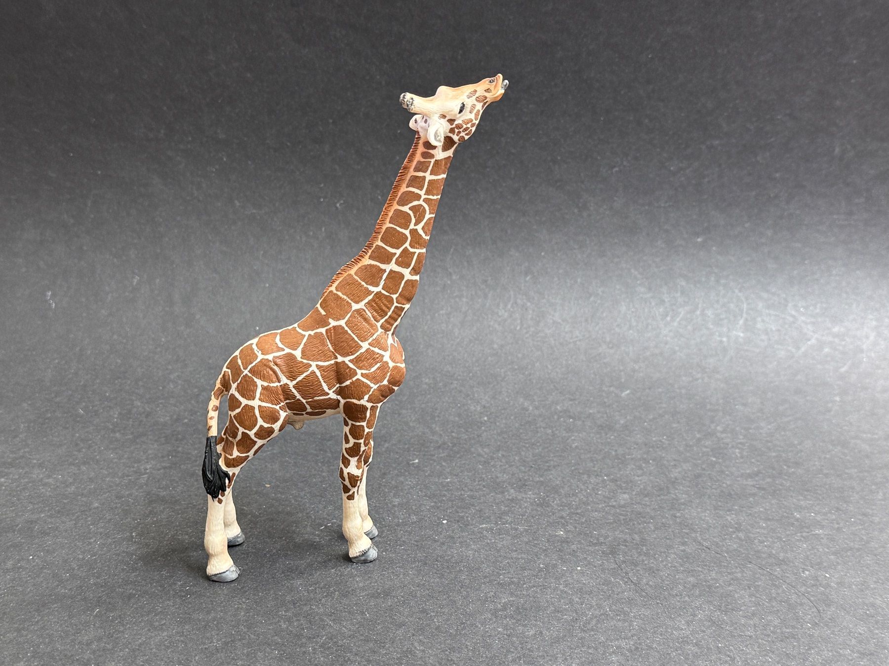 Schleich Statuette: 5 Schleich Giraffen Giraffe Tiere – Usato da Ennetbaden venduto da mapa05 2