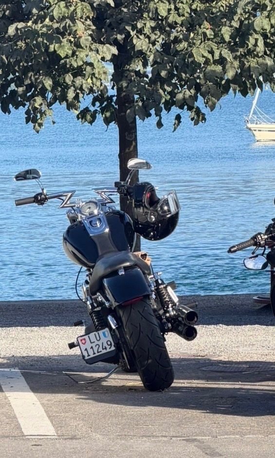 Harley-Davidson Chopper: Harley Davidson – Gebraucht aus Adligenswil von gab_96xz 3