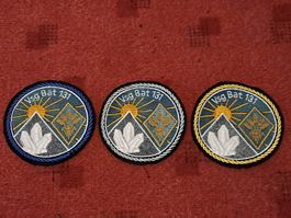 3 Badge der Vsg. Bat 131