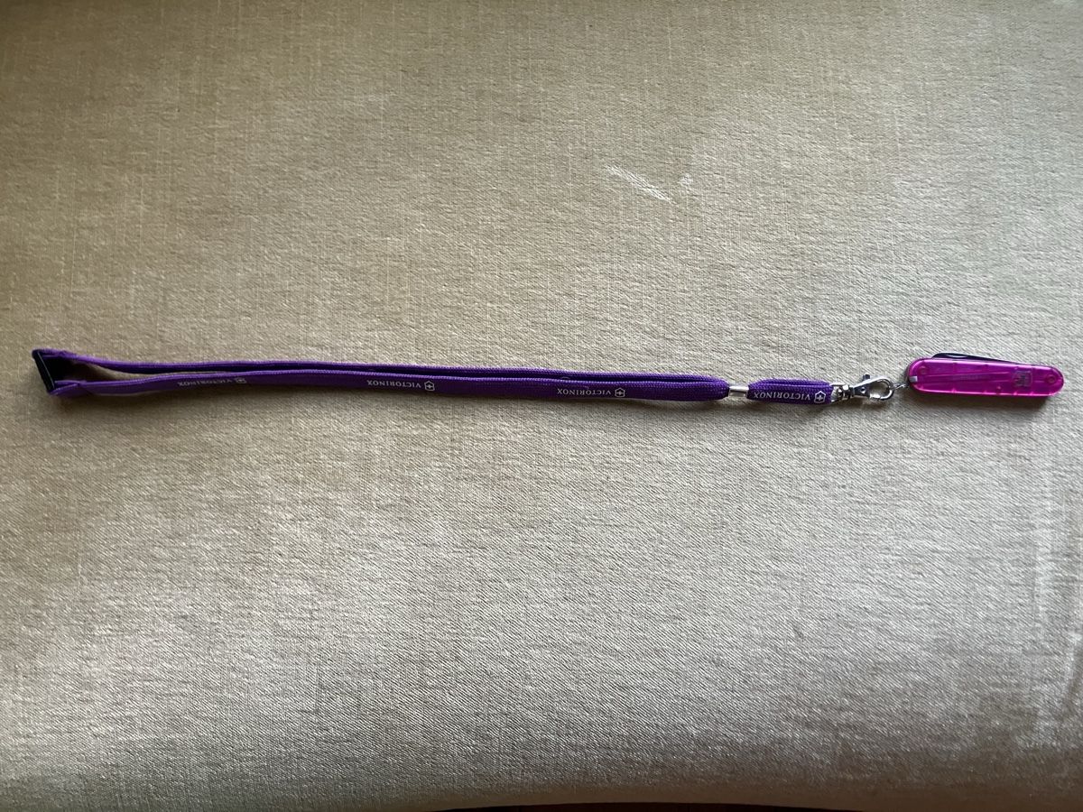 Victorinox Coltelli tascabile: Kinder Sackmesser Victorinox – Usato da Guggisberg venduto da marimaru 1