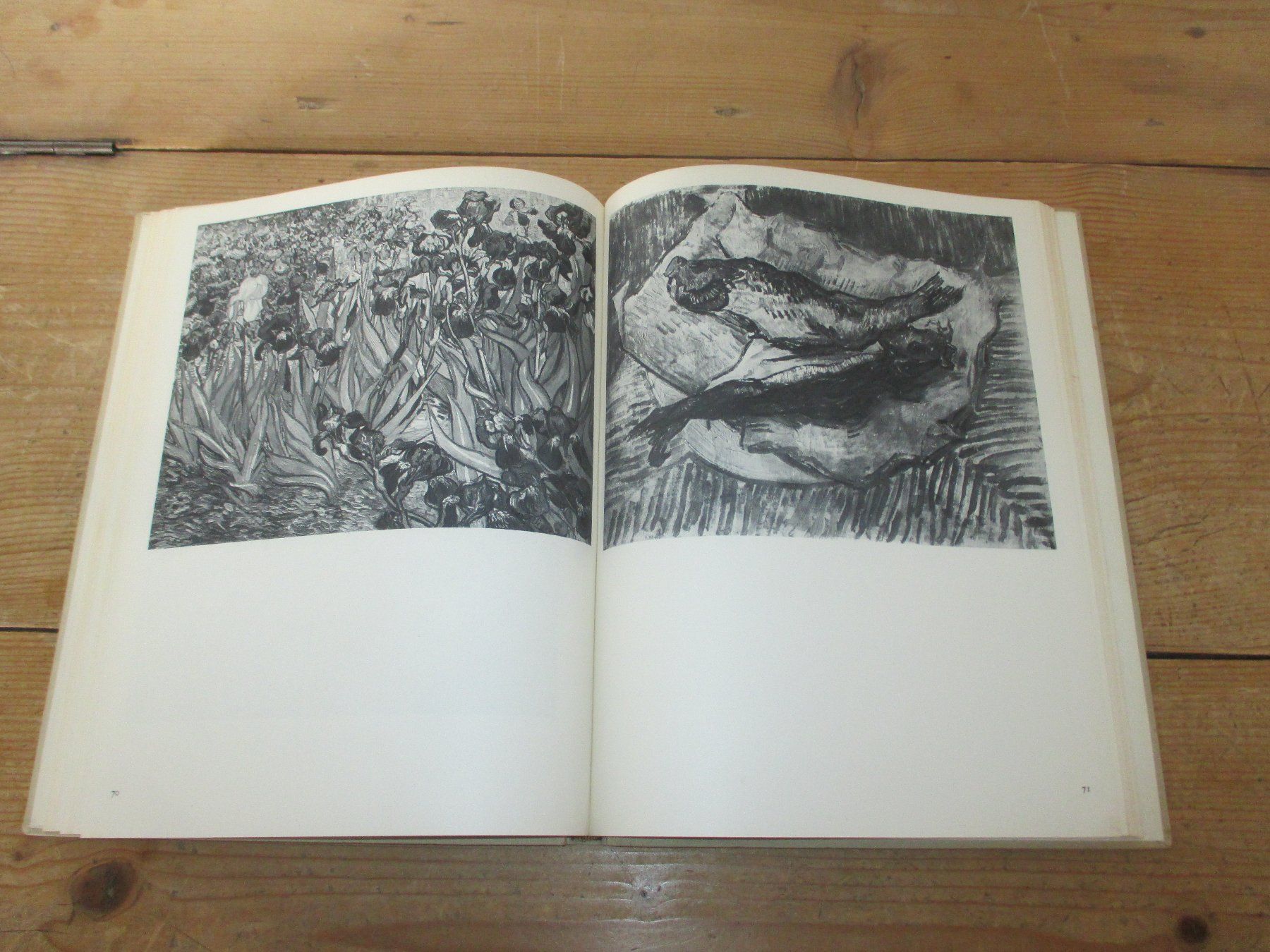 Libri: Van Gogh – Usato da Flims - Dorf venduto da Stagediver 3