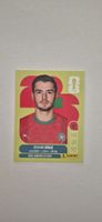 Panini MAR 19