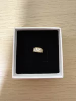 Pandora Clip