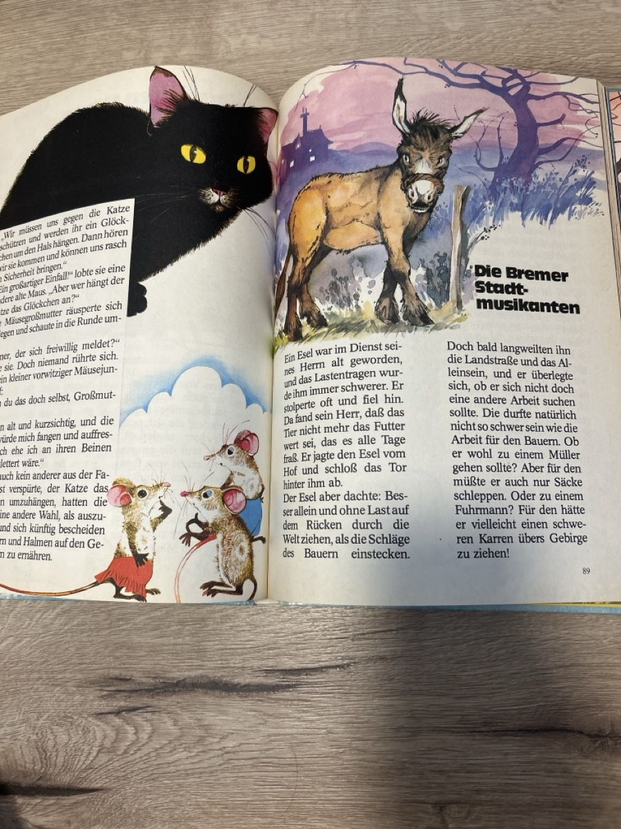 Libri: Märchenreich – Usato da Maienfeld venduto da Jasmin_laeser 7