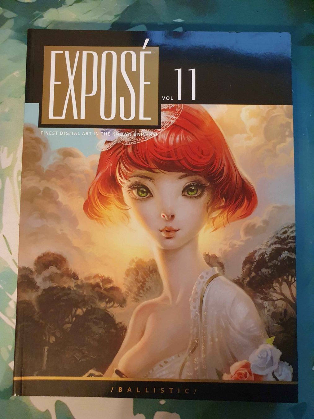 Bücher: EXPOSÉ 11 - Soft Cover Edition - Ballistic Publishing – Gebraucht aus St. Gallen von Everade