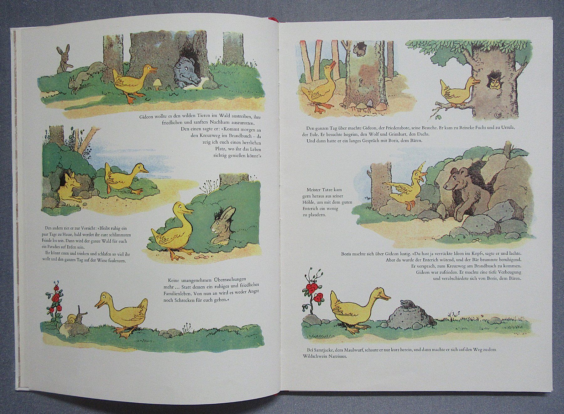 Libri: Gideon im Wald - Ein Diogenes Kinderbuch – Usato da Auenstein venduto da Padabimbim 1