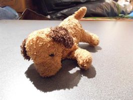 Hund braun / dunkelbraune Ohren