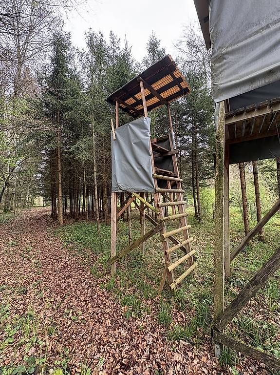 Articoli in legno: Jagdkanzel für Ansitz – Usato da Rickenbach ZH venduto da Pumba_500