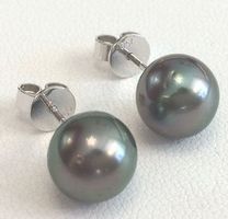 Tahiti-Perlohrstecker, grau, statt 780,-