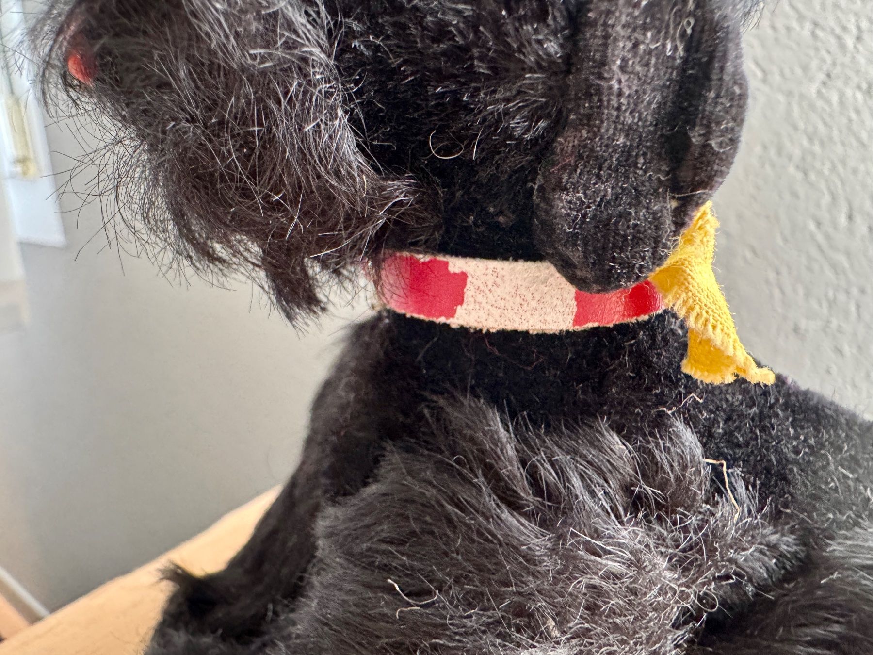 Jouets: Kleiner alter Plüsch Hund Steiff ??? – D'occasion à Rothrist par Luckywinner 1