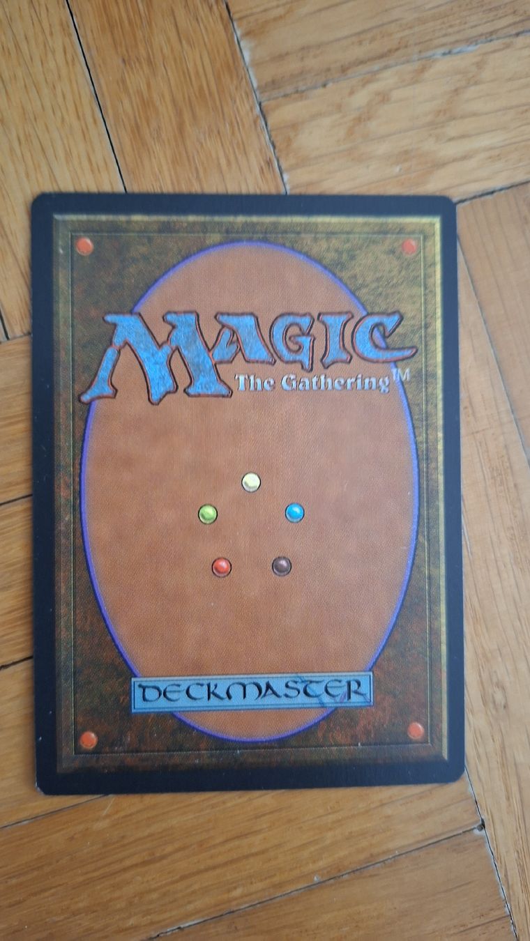 Magic The Gathering Sammelbilder & Trading cards: Magic The Gathering Lieder der Verdammten Karte – Gebraucht aus Würenlos von bat_y8kw 1