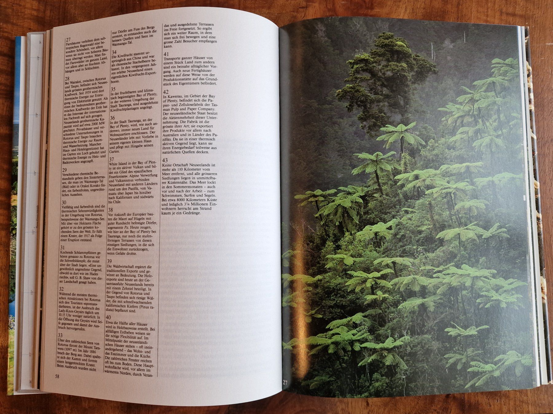 Libri: Neuseeland – Usato da Röthenbach i. E. venduto da Heureka5 2