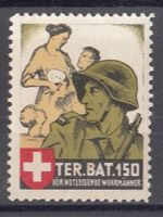 Territorial-Truppen Wi 257 *
