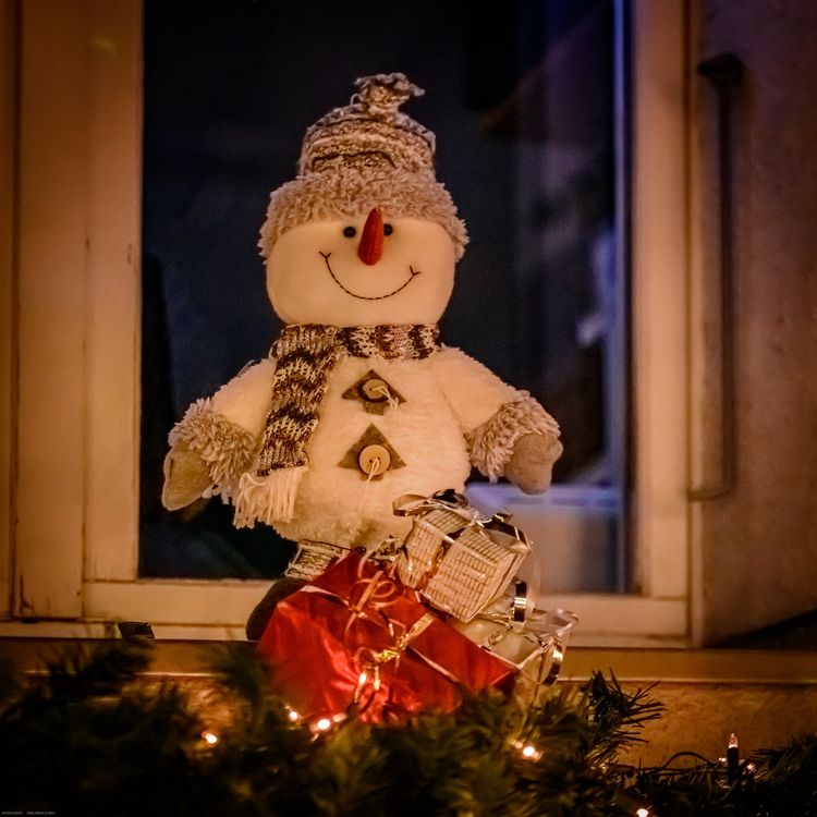 Beleuchteter Tannebaum mit Schneemann Kaufen auf Ricardo