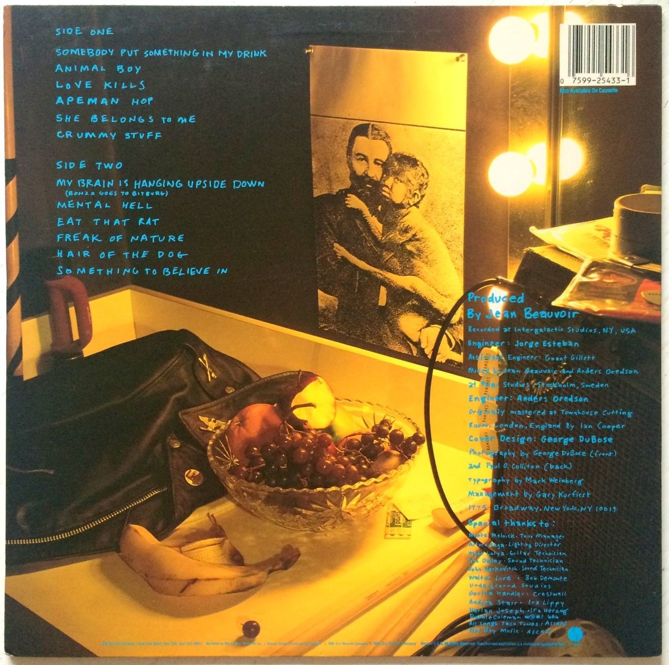 Dischi in vinile: RAMONES - ANIMAL BOY – Usato da Bottens venduto da hotter-than-hell 1
