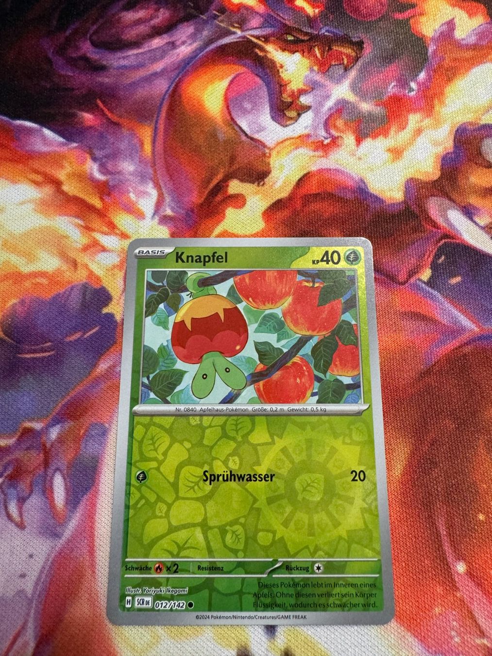 Pokémon Carte collezionabili: Knapfel (SCR 012) / Reverse Holo / Stellarkrone – Nuovo (secondo la descrizione) da Bülach venduto da CherryBlu