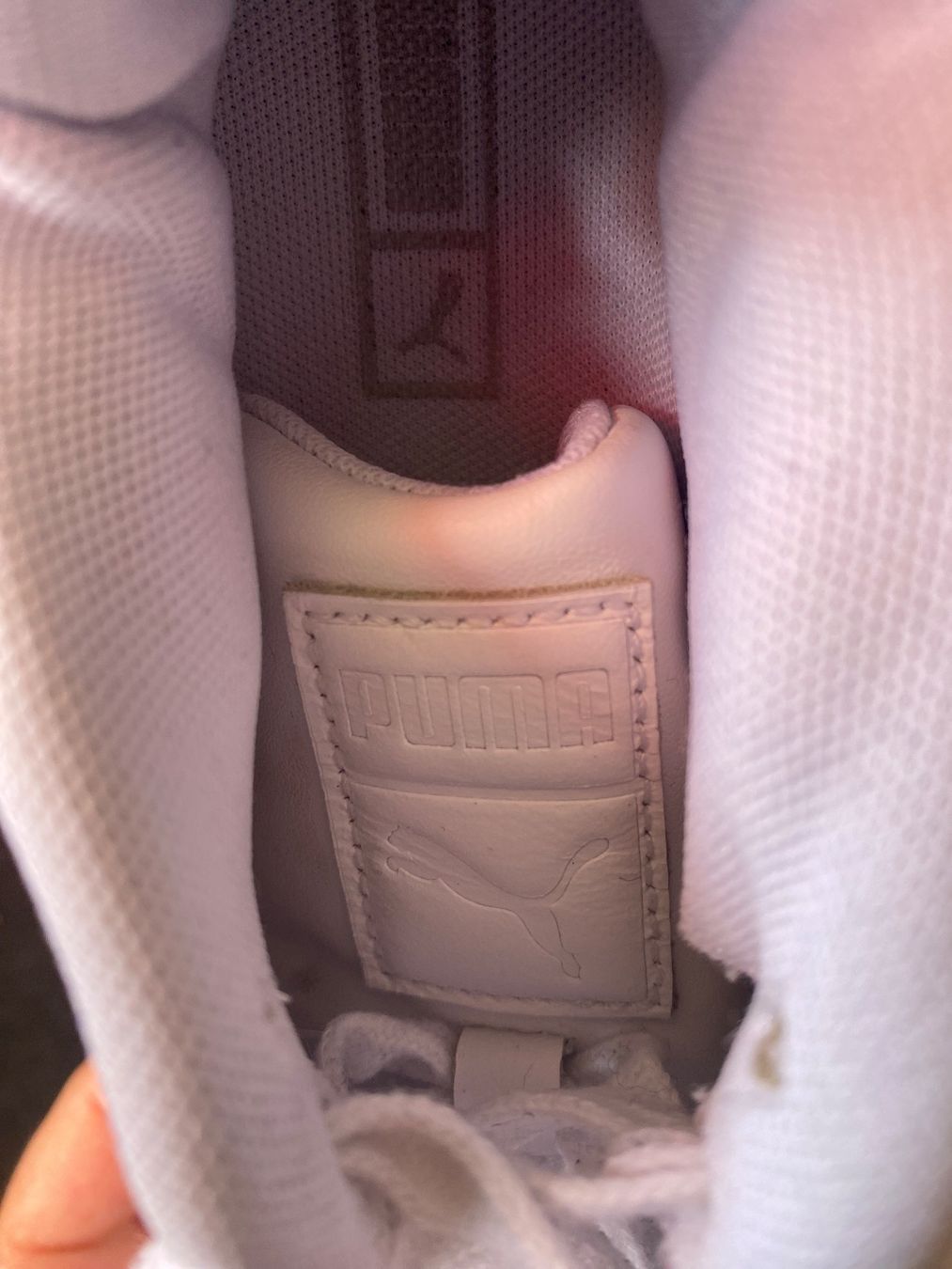 Puma Scarpe da uomo: Puma Grösse 36 Top Zustand! – Usato da Dietikon venduto da Enio1 4