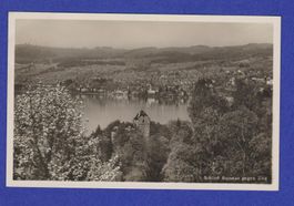 Schloss Buonas  Zug - alte Ansichtskarte 1931