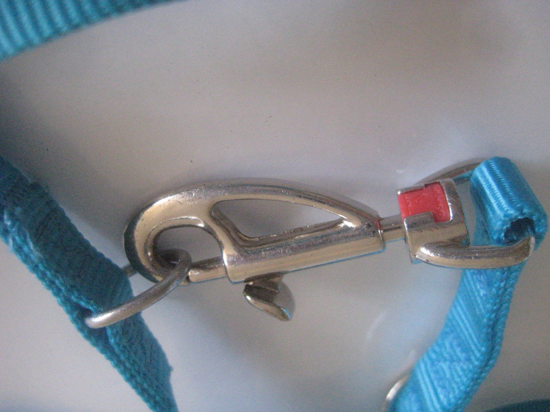 Leine & Halsband: HUNDE LEINE UND HALSBAND – Neu (gemäss Beschreibung) aus Uster von flocke1 3