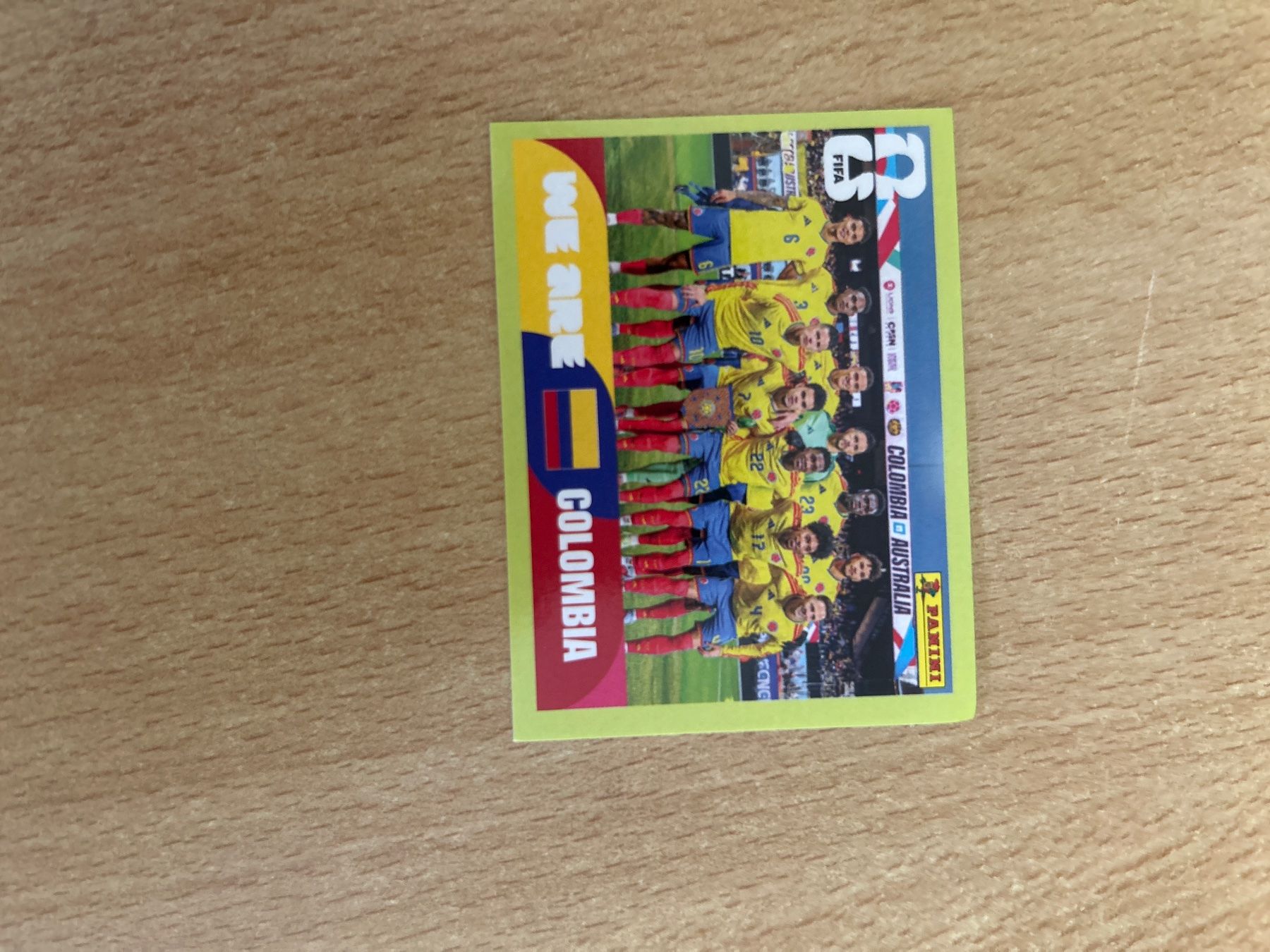 Panini Carte collezionabili: COL 13 - Team - Panini WM 2026 – Usato da Luzern venduto da edu_f6hx