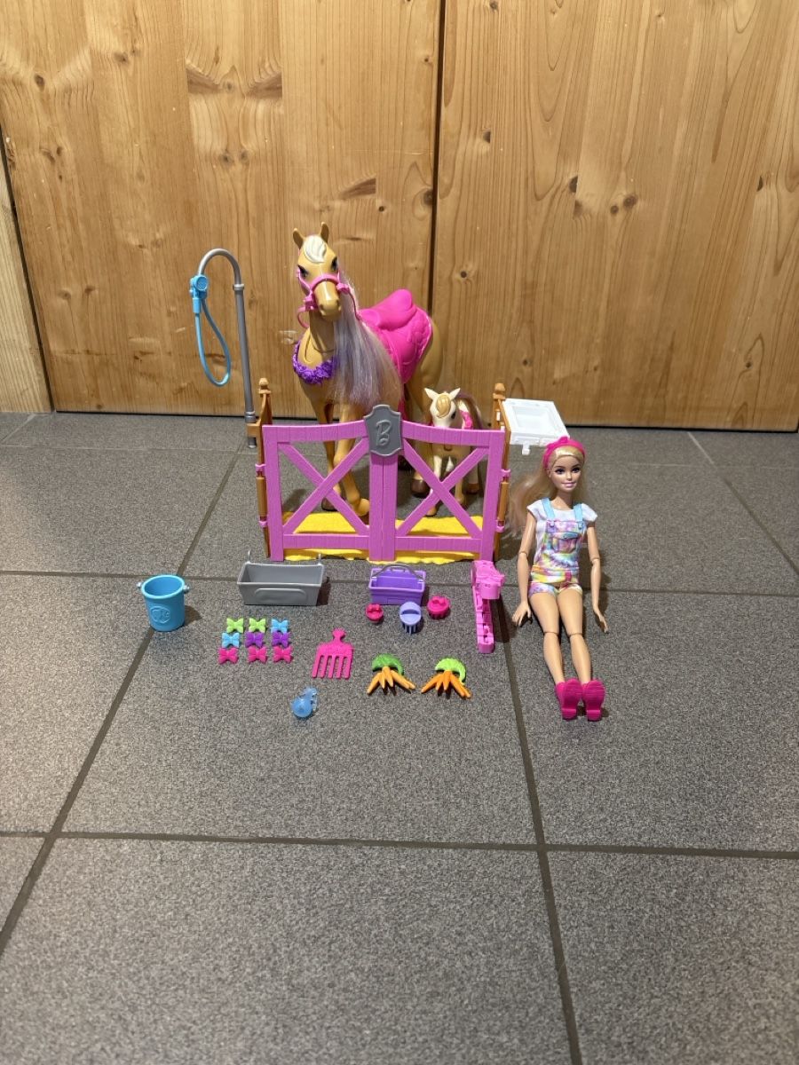 Giocattoli: Barbie Frisiersalon – Usato da Melchnau venduto da Dinudane