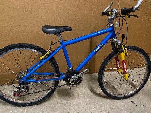 Cresta Biciclette: Jugendfahrrad Cresta Pro – Nuovo (secondo la descrizione) da Rheineck venduto da kat_2xjm