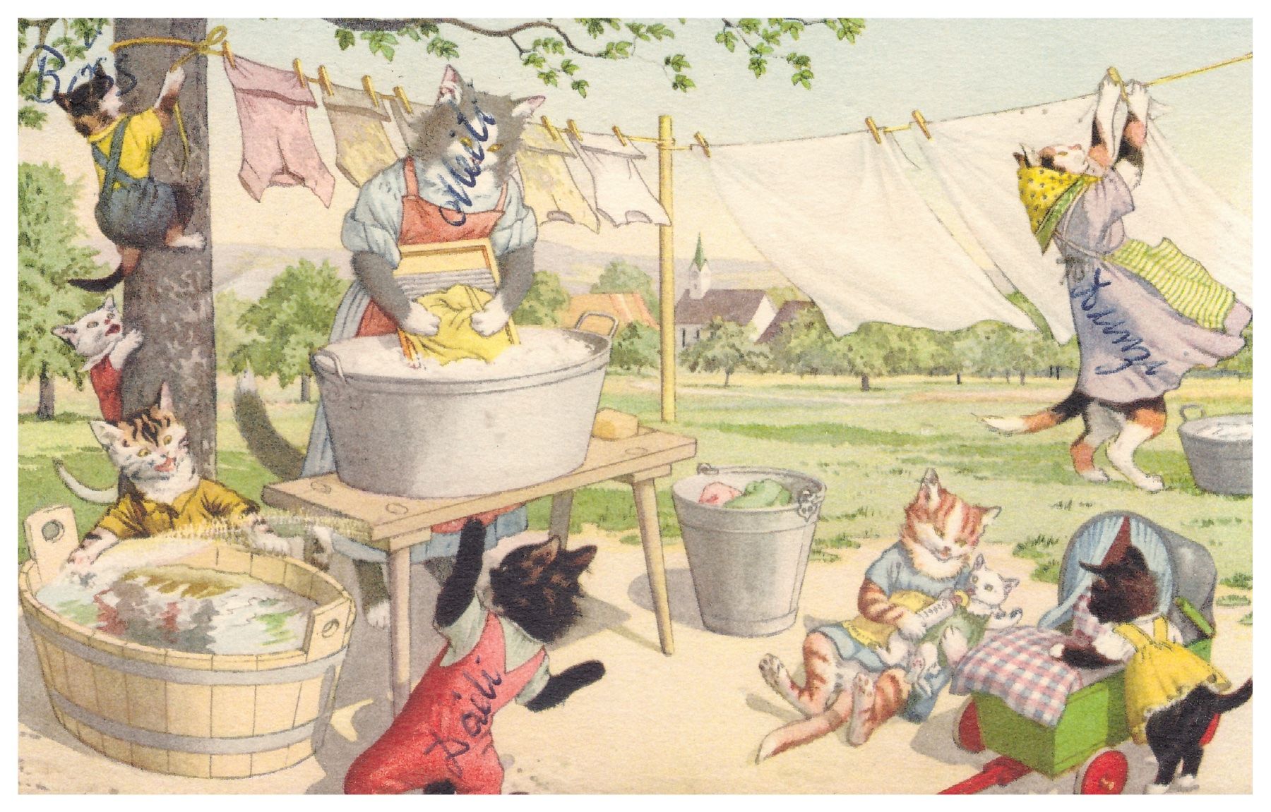 Cartoline postali: Alte Ansichtskarte 1954, Katzen beim Waschen – Usato da Niederglatt ZH venduto da Viktor1949
