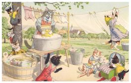 Alte Ansichtskarte 1954, Katzen beim Waschen