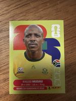 Panini Fifa RSA 9