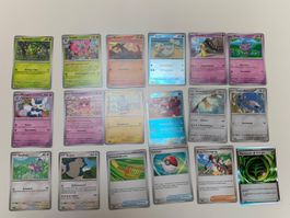 Pokemonkarten 18 Stück Optimale Ordnung Deutsch